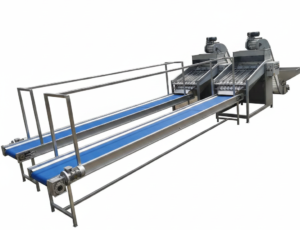 Cashew kernel sorting conveyor for manual inspection and quality control
