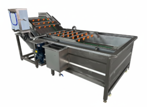 Cashew nut washing machine for raw cashew cleaning