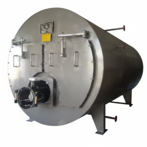 1 ton biomass steam boiler for cashew steaming and drying systems