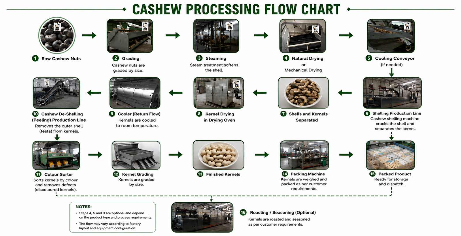 Cashew Nut Sheller – High Shelling Rate Up to 96%