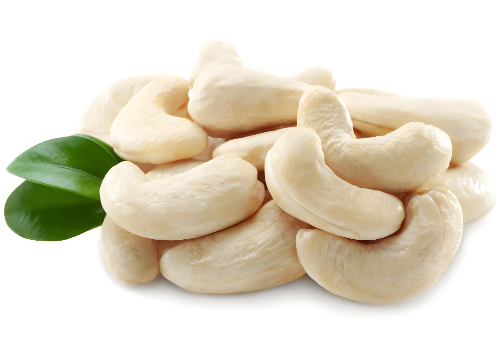 Manual & Electric Cashew Nut Cutter – Choose Your Model